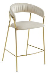 Комплект из 2 стульев Badia, бежевый. цена и информация | Стулья для кухни и столовой | kaup24.ee