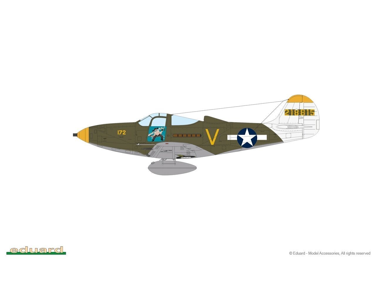 Eduard - Bell P-39N Airacobra Profipack, 1/48, 8067 hind ja info | Klotsid ja konstruktorid | kaup24.ee