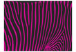 Fototapeet - Zebra pattern (violet) hind ja info | Fototapeedid | kaup24.ee