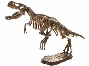 3D dinosauruse skeleti komplekt hind ja info | Poiste mänguasjad | kaup24.ee