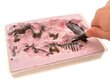 3D dinosauruse skeleti komplekt цена и информация | Poiste mänguasjad | kaup24.ee
