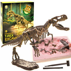 3D dinosauruse skeleti komplekt цена и информация | Игрушки для мальчиков | kaup24.ee