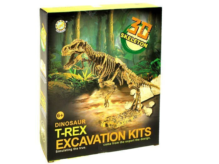 3D dinosauruse skeleti komplekt цена и информация | Poiste mänguasjad | kaup24.ee
