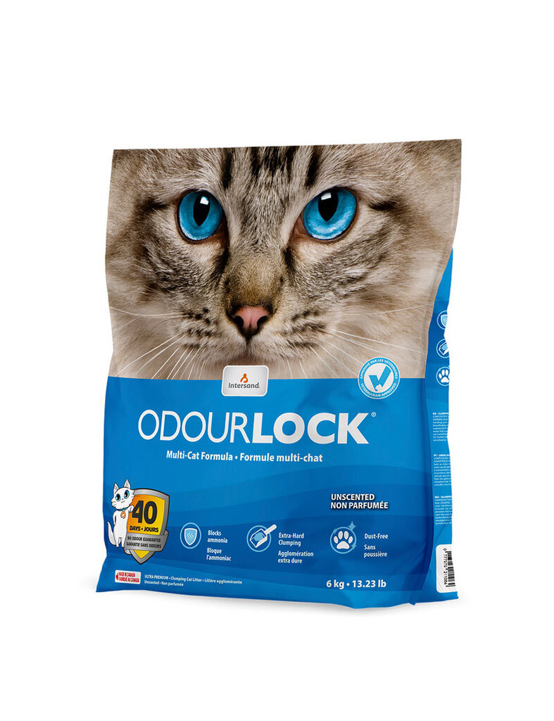 Kassiliiv Intersand OdourLock Multi-Cat, Lõhnatu, 6kg hind ja info | Kassiliiv | kaup24.ee