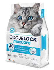 Наполнитель для кошачьего туалета Intersand OdourLock maxCare 12 кг цена и информация | Наполнители для туалета | kaup24.ee