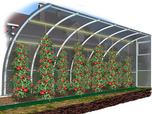 Kasvuhoone risttalad taimede tugevdamiseks, 8 m цена и информация | Теплицы | kaup24.ee