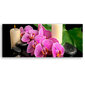 Seinapilt Orhideed hind ja info | Seinapildid | kaup24.ee