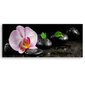 Seinapilt Zen ja orhidee цена и информация | Seinapildid | kaup24.ee