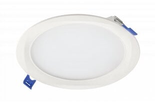 Louis LED paneel 15W, valge hind ja info | Süvistatavad ja LED valgustid | kaup24.ee