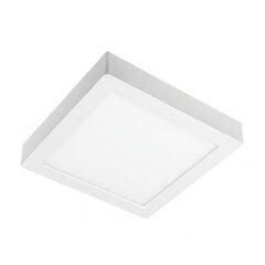 Lamp, LED, 12W, 960Lm, 4000K, v/a, IP54, kandiline, valge hind ja info | Süvistatavad ja LED valgustid | kaup24.ee