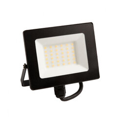 Prožektor Eco Light, 30W, LED NW hind ja info | Aia- ja õuevalgustid | kaup24.ee