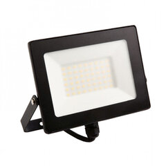 Prožektor Eco Light, 50W, LED NW цена и информация | Уличное освещение | kaup24.ee