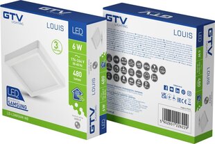 Lamp, LED, 6W, 480Lm, 4000K, v/a, IP54, kandiline, valge цена и информация | Монтируемые светильники, светодиодные панели | kaup24.ee