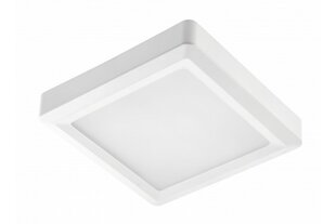 Lamp, LED, 24W, 1920Lm, 4000K, v/a, IP54, kandiline, valge hind ja info | Süvistatavad ja LED valgustid | kaup24.ee