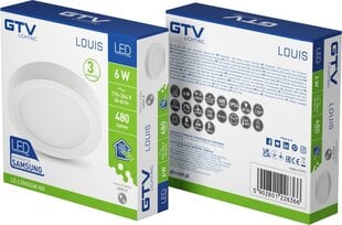 Светильник LED накладной LOUIS, 6 Вт, 480 Лм, 4000K, IP54 цена и информация | Монтируемые светильники, светодиодные панели | kaup24.ee