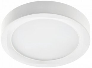 Lamp, LED, 24W, 1920Lm, 4000K, v/a, IP54, ümmargune, valge цена и информация | Монтируемые светильники, светодиодные панели | kaup24.ee