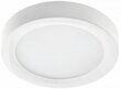 Lamp, LED, 24W, 1920Lm, 4000K, v/a, IP54, ümmargune, valge hind ja info | Süvistatavad ja LED valgustid | kaup24.ee