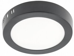 LED светильник ORIS PLUS, IP20, 13W, 4000K, 1020lm цена и информация | Потолочные светильники | kaup24.ee