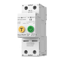 Электрический автоматический выключатель Smart Wifi 63 Amp 2P цена и информация | Выключатели, розетки | kaup24.ee