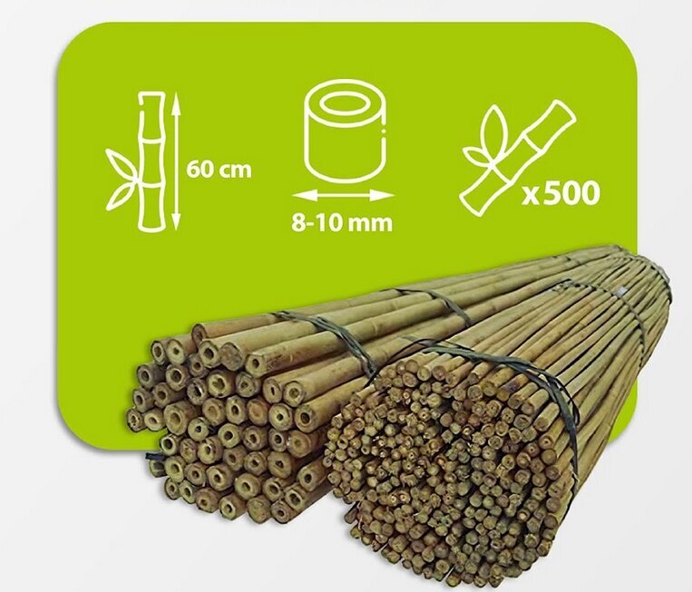 Bambuspulgad 60 cm 8/10 mm, 500 tk hind ja info | Vaasid, alused, redelid lilledele | kaup24.ee