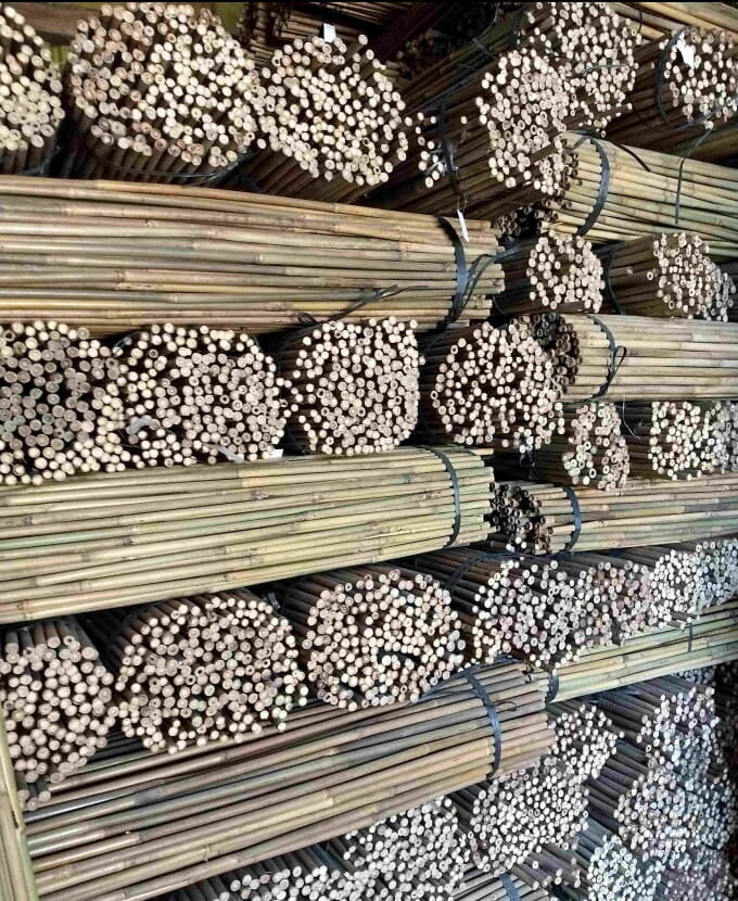 Bambuspulgad 60 cm 8/10 mm, 100 tk hind ja info | Vaasid, alused, redelid lilledele | kaup24.ee