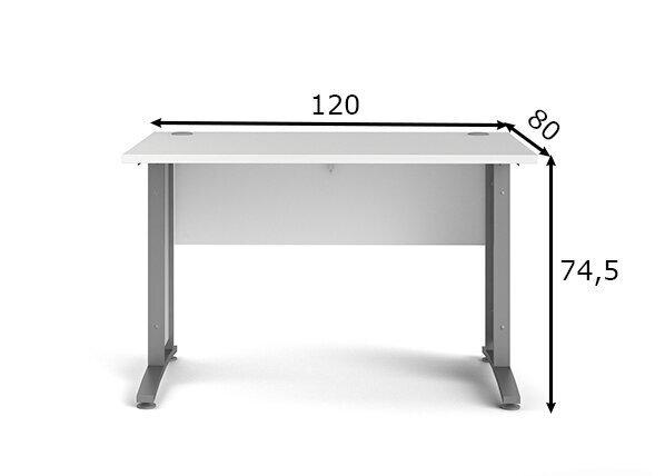 Kirjutuslaud Tvilum Prima, valge/hall hind ja info | Arvutilauad, kirjutuslauad | kaup24.ee