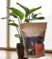 Aluspind, muld rohelistele taimedele, 3 l hind ja info | Muld, turvas, kompost | kaup24.ee
