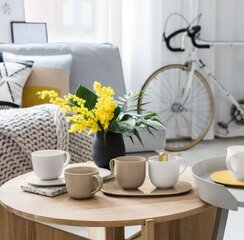 Кружка Villeroy &amp; Boch It&#39;s My Moment, 0,48 л цена и информация | Стаканы, фужеры, кувшины | kaup24.ee