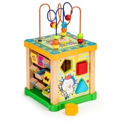 Деревянный развивающий кубик с доской Ecotoys цена и информация | Развивающие игрушки и игры | kaup24.ee