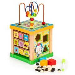 Деревянный развивающий кубик с доской Ecotoys цена и информация | Развивающие игрушки и игры | kaup24.ee