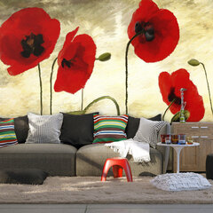 Fototapeet - Golden Field of Poppies цена и информация | Фотообои | kaup24.ee