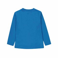 Топ с длинным рукавом для мальчиков, Esprit цена и информация | Рубашки для мальчиков | kaup24.ee