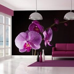 Fototapeet - stylish orchis hind ja info | Fototapeedid | kaup24.ee