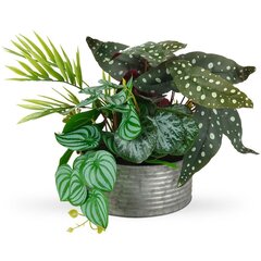 Искусственное растение в горшке, 28 см цена и информация | Детали интерьера | kaup24.ee