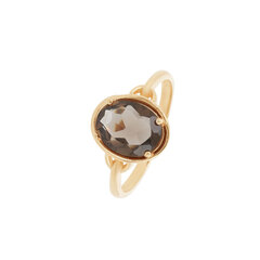 Золотое кольцо с драгоценным камнем цена и информация | Кольца | kaup24.ee