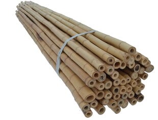 Bambuspulgad 180 cm 30/35 mm, 10 tk hind ja info | Vaasid, alused, redelid lilledele | kaup24.ee