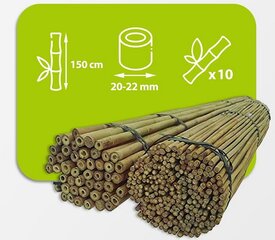 Bambuspulgad 150 cm 20/22 mm, 10 tk hind ja info | Vaasid, alused, redelid lilledele | kaup24.ee