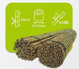 Бамбуковые палки 120 см, 12/14 мм / 100 шт. цена и информация | Подставки для цветов, держатели для вазонов | kaup24.ee