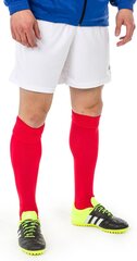 Футбольные носки Select Getry, 42-47, красный цвет цена и информация | Футбольная форма и другие товары | kaup24.ee