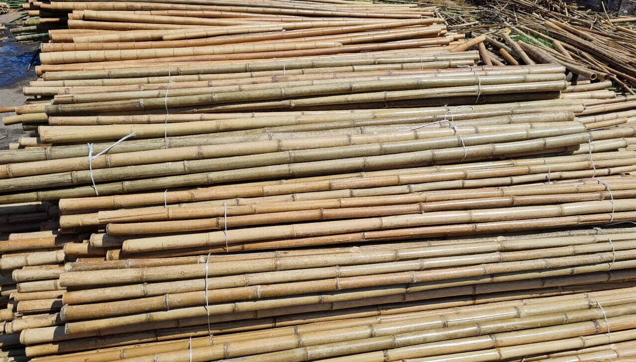 Bambuspulgad 150 cm 24/26 mm, 10 tk цена и информация | Vaasid, alused, redelid lilledele | kaup24.ee