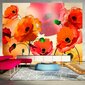 Fototapeet - Velvet poppies цена и информация | Fototapeedid | kaup24.ee