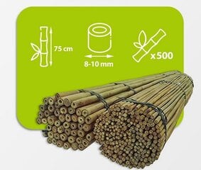 Бамбуковые палки 75 см, 8/10 мм / 500 шт. цена и информация | Подставки для цветов, держатели для вазонов | kaup24.ee