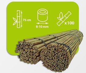 Bambuspulgad 75 cm 8/10 mm, 100 tk hind ja info | Vaasid, alused, redelid lilledele | kaup24.ee