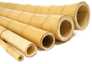 Dekoratiivne bambus, 180 cm, 100-120 mm hind ja info | Vaasid, alused, redelid lilledele | kaup24.ee