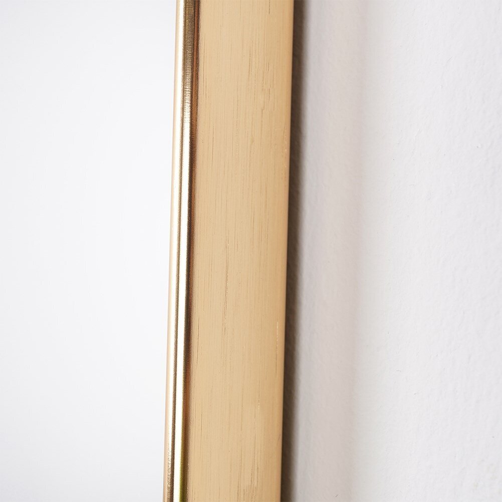 kuldne seinapeegel 45x35 cm hind ja info | Peeglid | kaup24.ee
