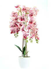 Цветок орхидея, густо-розовый 70 см цена и информация | Искусственные цветы | kaup24.ee