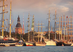 Pusle Purple Witty Fox Tall Ships Races 19913, 1000 p. hind ja info | Pusled | kaup24.ee