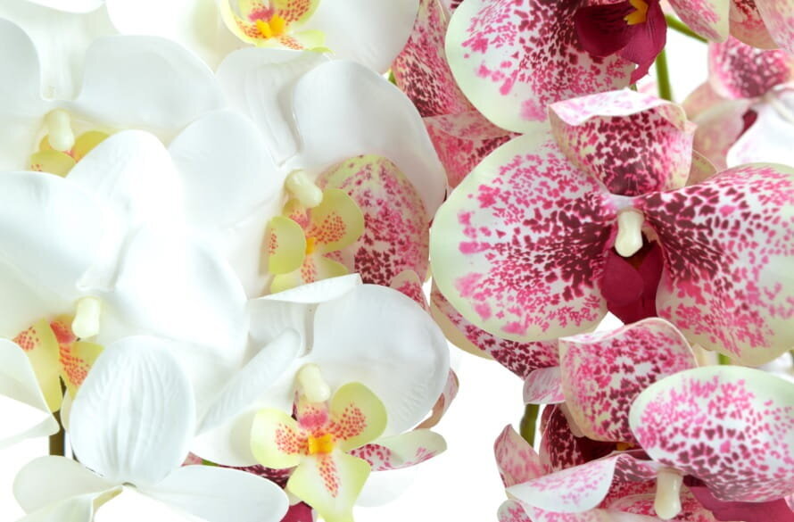 Artificial Orchid Flower, Tihe Valge 70cm hind ja info | Kunstlilled | kaup24.ee