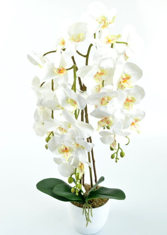 Artificial Orchid Flower, Tihe Valge 70cm hind ja info | Kunstlilled | kaup24.ee