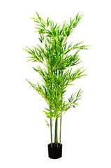 Артифицированный бамбус ~ 150 см, № 19B017 цена и информация | Искусственные цветы | kaup24.ee